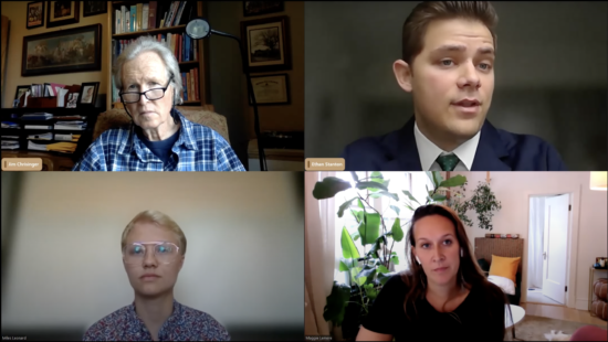 Photo of four people speaking at a webinar.